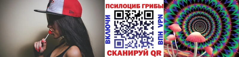 Галлюциногенные грибы Psilocybine cubensis  Купить закладки  Тимашёвск 